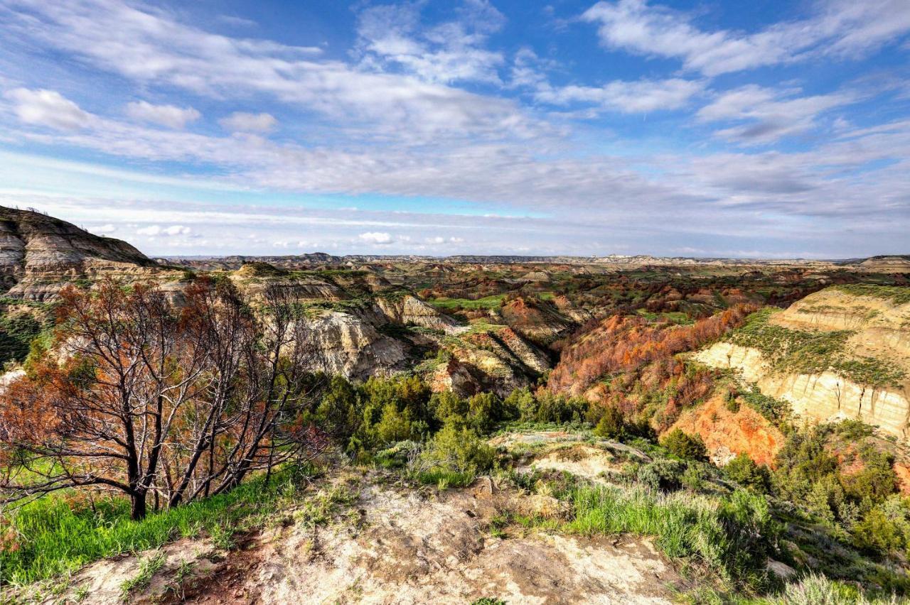 Badlands Suite Less Than 1 Mi To Teddy Roosevelt Park! Medora Exterior foto